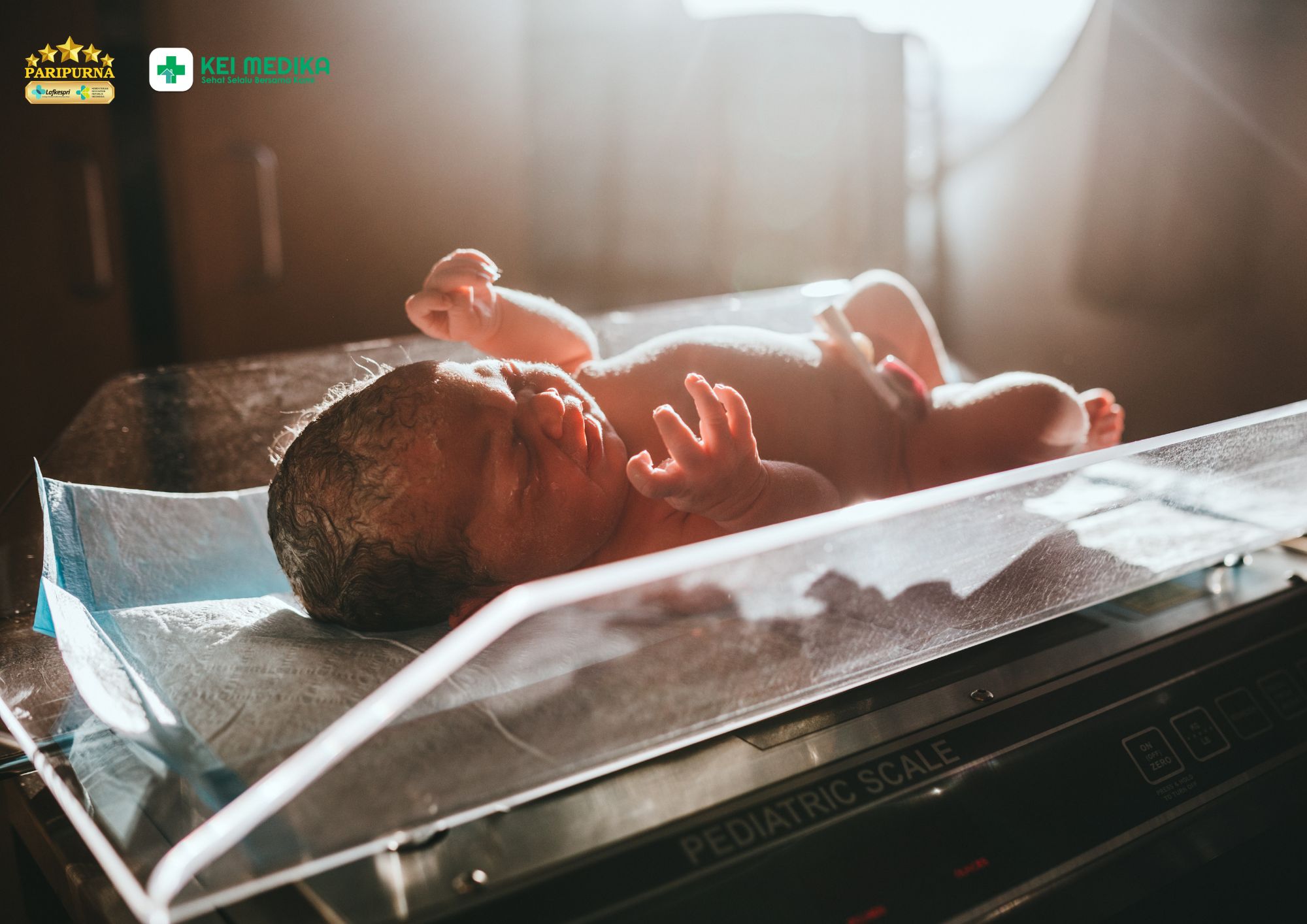 Generasi Sehat Dimulai di Sini: Peran Bidan dalam Perawatan Bayi Baru Lahir