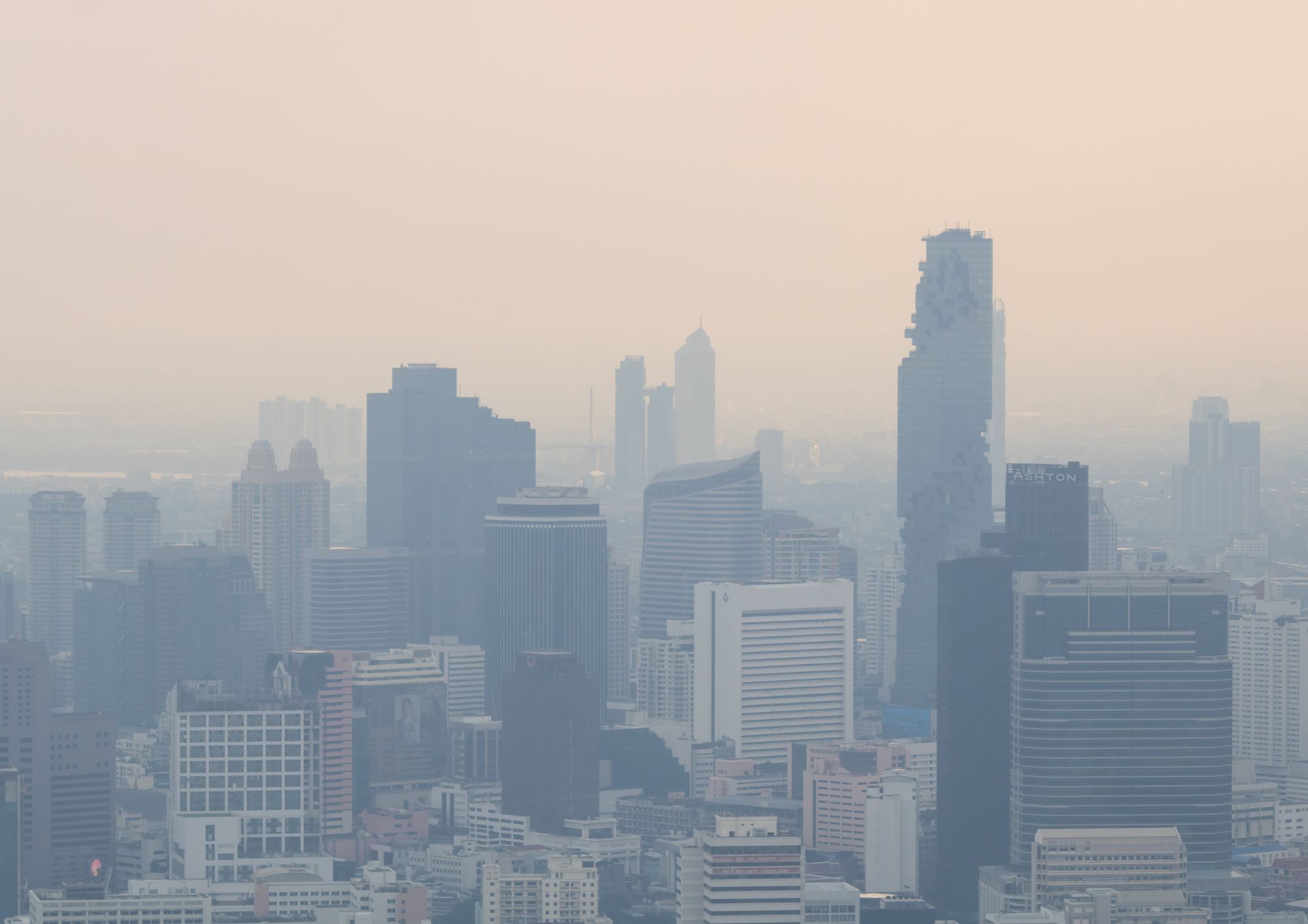 Dampak Polusi Udara terhadap Kesehatan Masyarakat Perkotaan