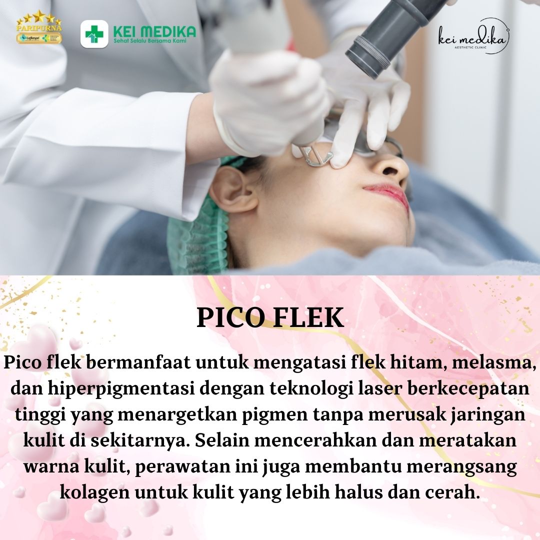 PICO FLEK